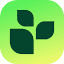 LifeSum